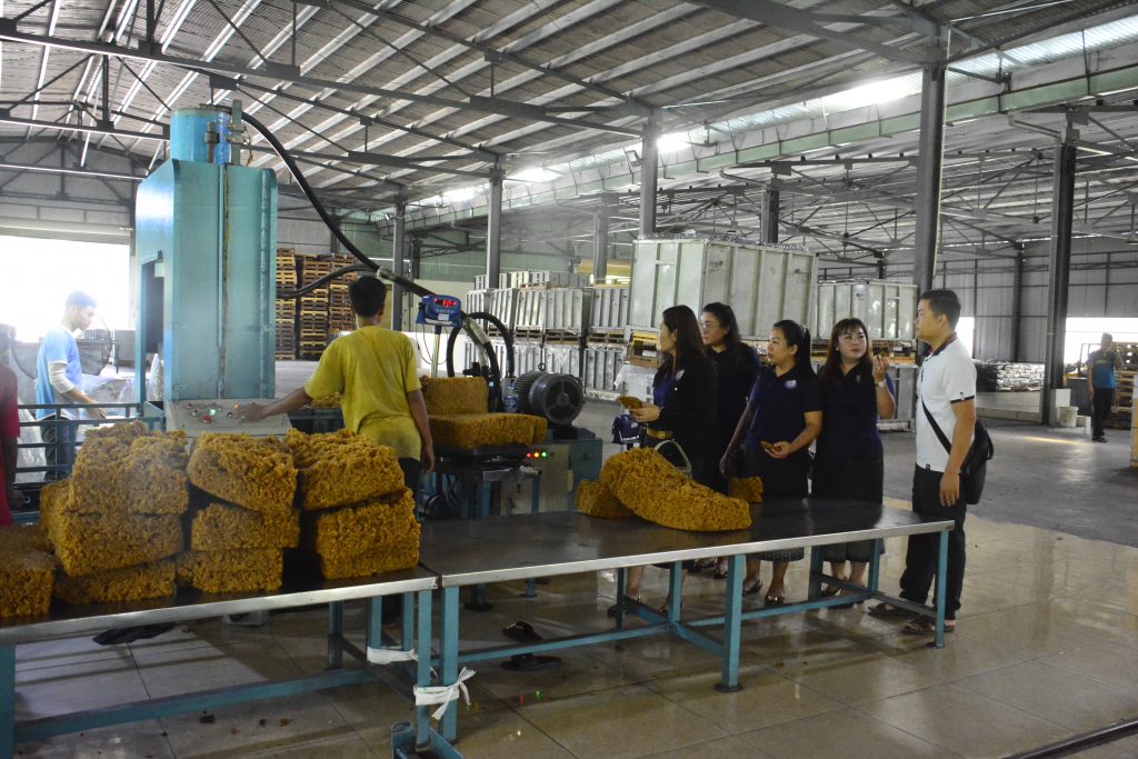 Cao su Quasa – Geruco sản xuất mủ 10 mix đạt chất lượng xuất khẩu